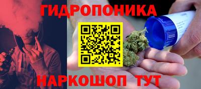 дурь Шахты